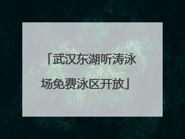 武汉东湖听涛泳场免费泳区开放