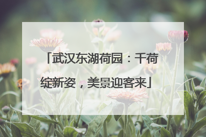 武汉东湖荷园：千荷绽新姿，美景迎客来