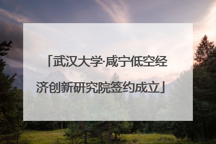 武汉大学·咸宁低空经济创新研究院签约成立