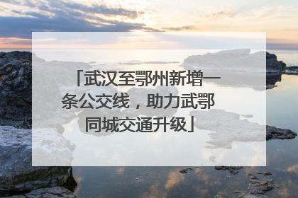 武汉至鄂州新增一条公交线，助力武鄂同城交通升级