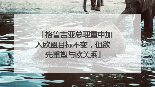 格鲁吉亚总理重申加入欧盟目标不变，但欲先重塑与欧关系
