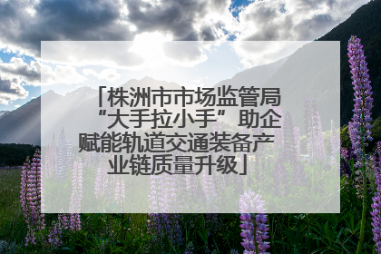 株洲市市场监管局“大手拉小手”助企赋能轨道交通装备产业链质量升级