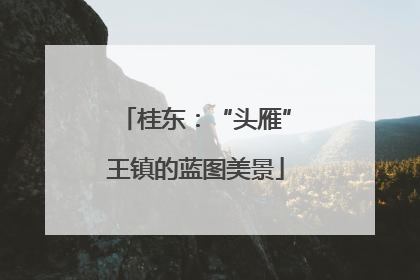 桂东：“头雁”王镇的蓝图美景