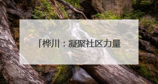 桦川：凝聚社区力量 提高基层整理水平