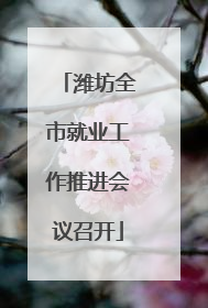 潍坊全市就业工作推进会议召开