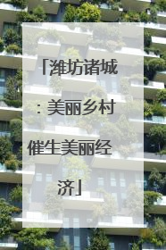 潍坊诸城：美丽乡村催生美丽经济