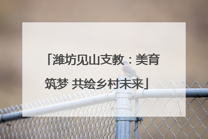 潍坊见山支教：美育筑梦 共绘乡村未来