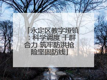 永定区教字垭镇：科学调度 干群合力 筑牢防洪抢险坚固防线