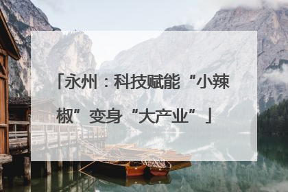 永州：科技赋能“小辣椒”变身“大产业”