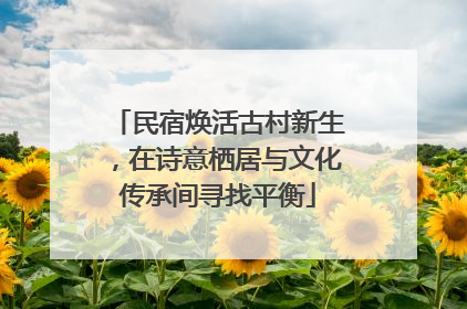 民宿焕活古村新生，在诗意栖居与文化传承间寻找平衡