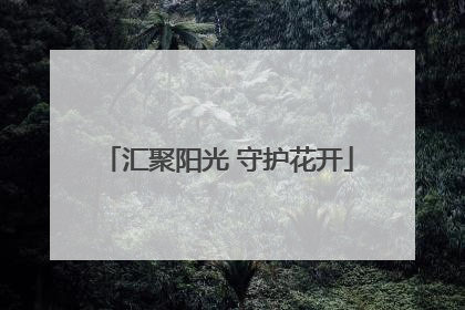 汇聚阳光 守护花开