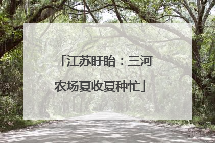 江苏盱眙：三河农场夏收夏种忙
