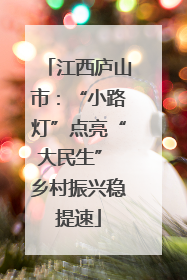 江西庐山市：“小路灯”点亮“大民生” 乡村振兴稳提速