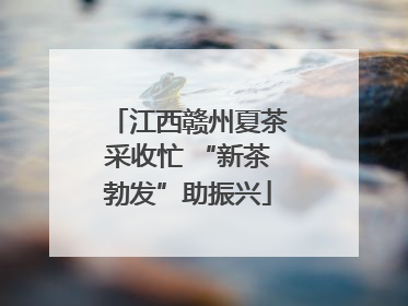 江西赣州夏茶采收忙 “新茶勃发”助振兴