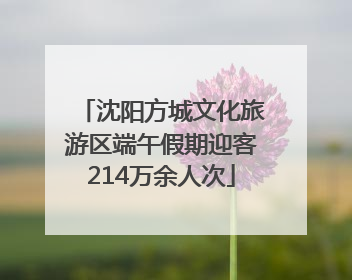 沈阳方城文化旅游区端午假期迎客214万余人次