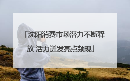 沈阳消费市场潜力不断释放 活力迸发亮点频现