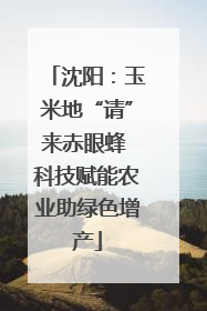 沈阳：玉米地“请”来赤眼蜂 科技赋能农业助绿色增产