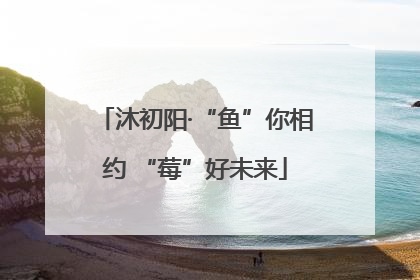 沐初阳·“鱼”你相约 “莓”好未来