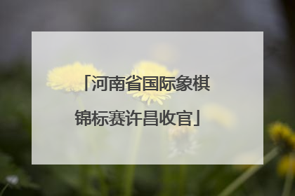 河南省国际象棋锦标赛许昌收官