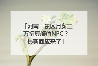 河南一景区月薪三万招募颜值NPC？最新回应来了