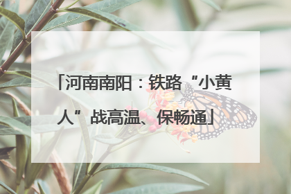 河南南阳：铁路“小黄人”战高温、保畅通