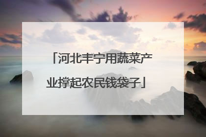 河北丰宁用蔬菜产业撑起农民钱袋子