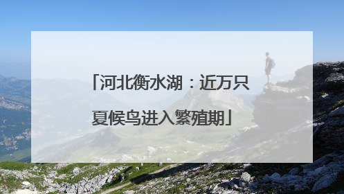 河北衡水湖：近万只夏候鸟进入繁殖期