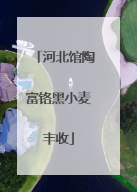 河北馆陶富铬黑小麦丰收