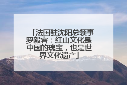 法国驻沈阳总领事罗毅睿：红山文化是中国的瑰宝，也是世界文化遗产