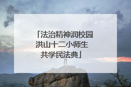 法治精神润校园 洪山十二小师生共学民法典