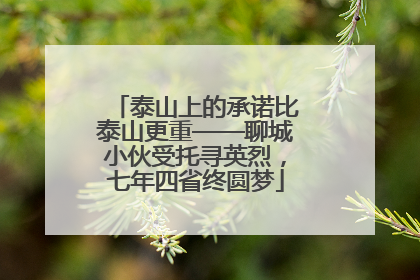 泰山上的承诺比泰山更重——聊城小伙受托寻英烈，七年四省终圆梦