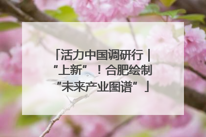 活力中国调研行｜“上新”！合肥绘制“未来产业图谱”