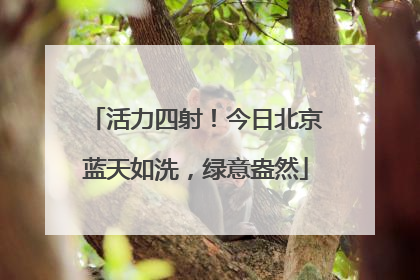 活力四射！今日北京蓝天如洗，绿意盎然