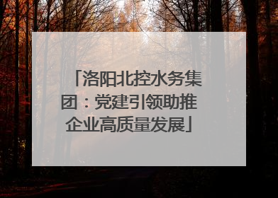 洛阳北控水务集团：党建引领助推企业高质量发展