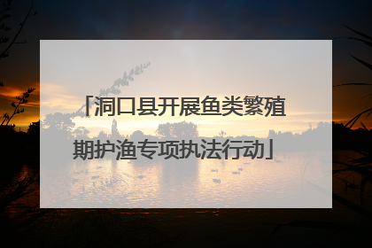 洞口县开展鱼类繁殖期护渔专项执法行动