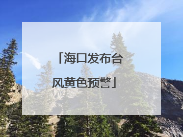 海口发布台风黄色预警