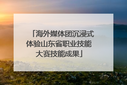 海外媒体团沉浸式体验山东省职业技能大赛技能成果