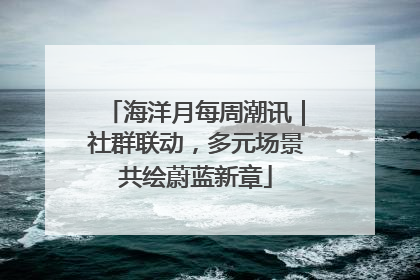 海洋月每周潮讯｜社群联动，多元场景共绘蔚蓝新章
