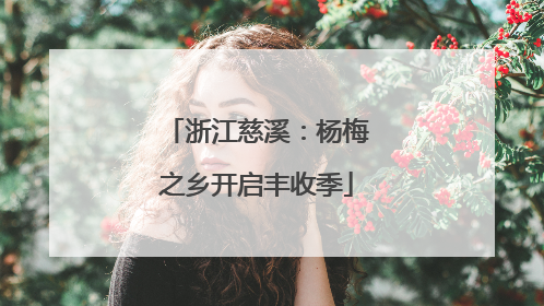 浙江慈溪：杨梅之乡开启丰收季