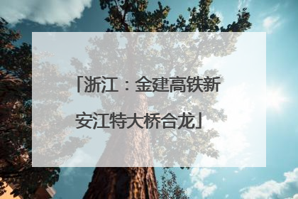 浙江：金建高铁新安江特大桥合龙