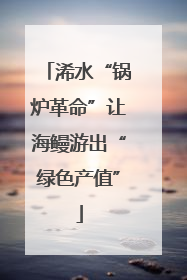 浠水“锅炉革命”让海鳗游出“绿色产值”