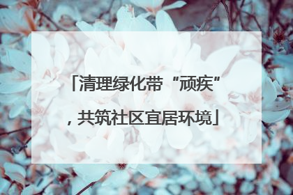 清理绿化带“顽疾”，共筑社区宜居环境