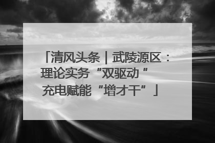 清风头条｜武陵源区：理论实务“双驱动 ” 充电赋能“增才干”