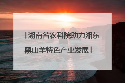 湖南省农科院助力湘东黑山羊特色产业发展