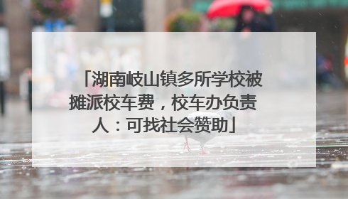 湖南岐山镇多所学校被摊派校车费，校车办负责人：可找社会赞助