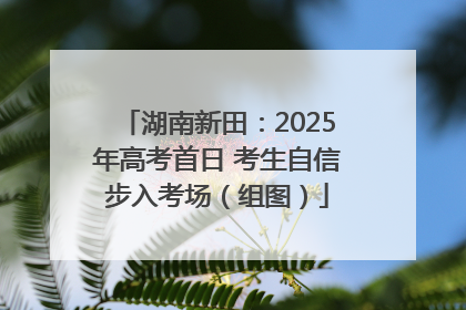湖南新田：2025年高考首日 考生自信步入考场（组图）
