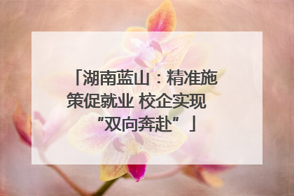 湖南蓝山：精准施策促就业 校企实现“双向奔赴”