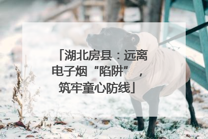 湖北房县：远离电子烟“陷阱”，筑牢童心防线