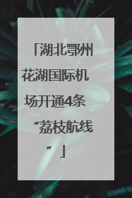 湖北鄂州花湖国际机场开通4条“荔枝航线”