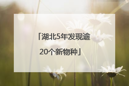 湖北5年发现逾20个新物种